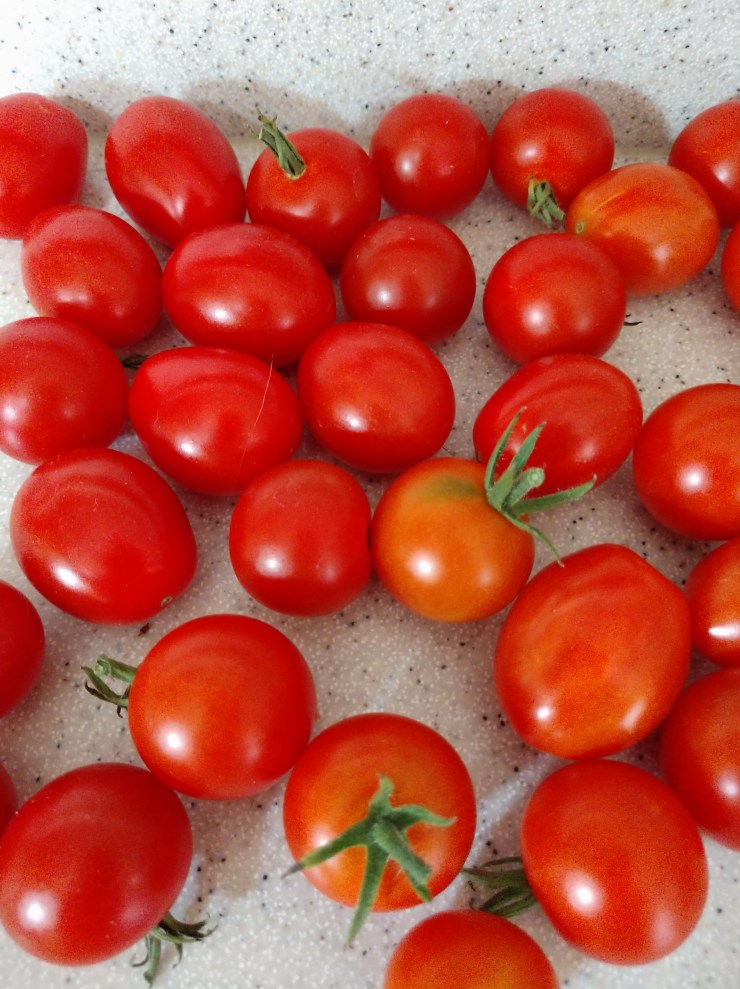 IMG_20180731_100656932