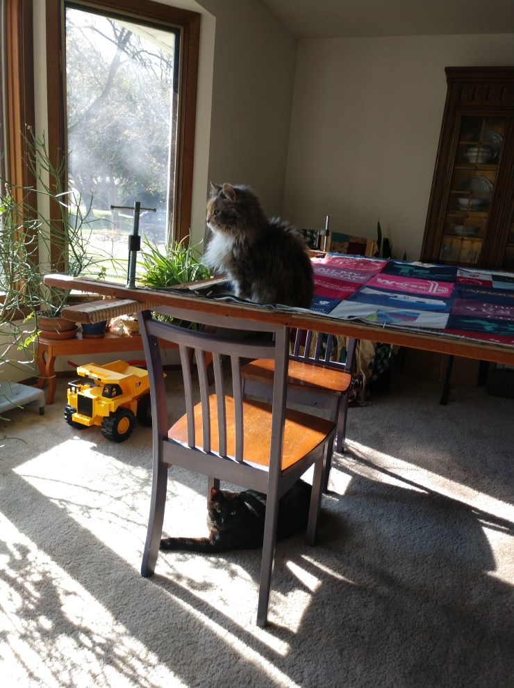 IMG_20191027_123701918